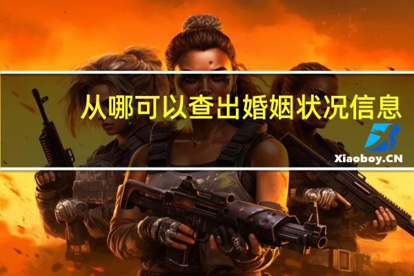 从哪可以查出婚姻状况信息
