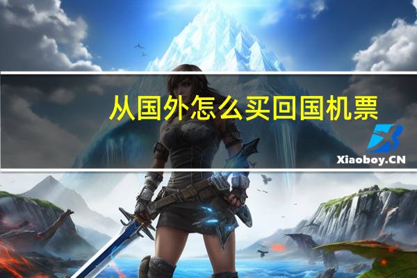 从国外怎么买回国机票