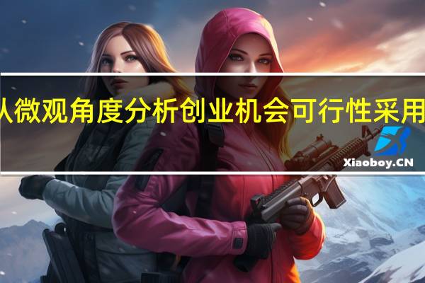 从微观角度分析创业机会可行性采用的方法