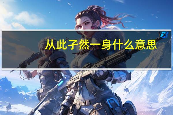 从此孑然一身什么意思