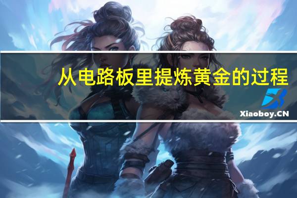 从电路板里提炼黄金的过程