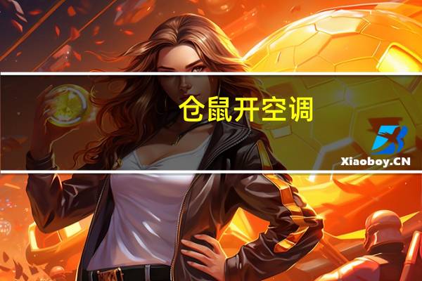 仓鼠开空调