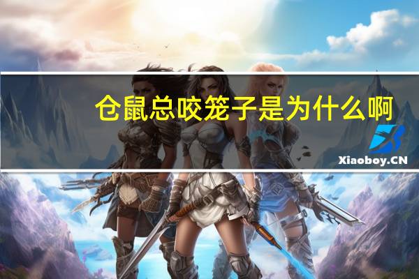 仓鼠总咬笼子是为什么啊