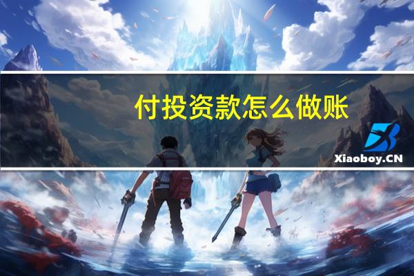 付投资款怎么做账