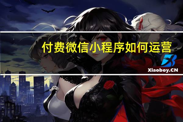 付费微信小程序如何运营