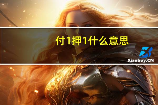 付1押1什么意思