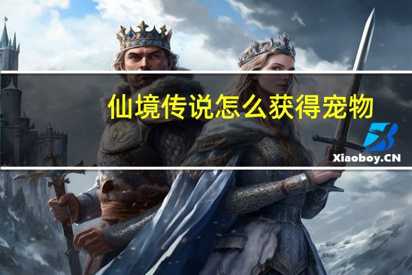 仙境传说怎么获得宠物