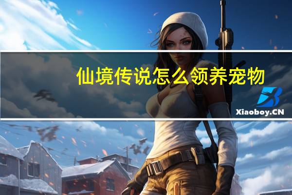 仙境传说怎么领养宠物