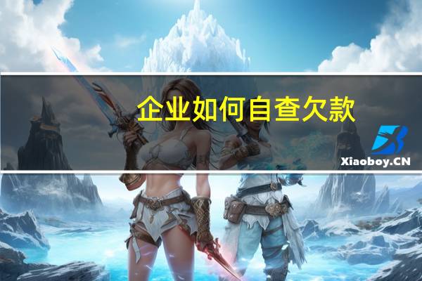 企业如何自查欠款