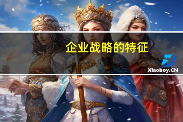 企业战略的特征