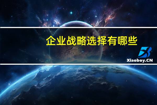 企业战略选择有哪些