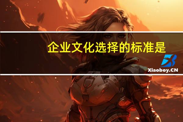 企业文化选择的标准是