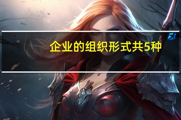 企业的组织形式共5种