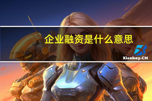 企业融资是什么意思