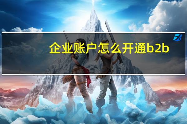 企业账户怎么开通b2b