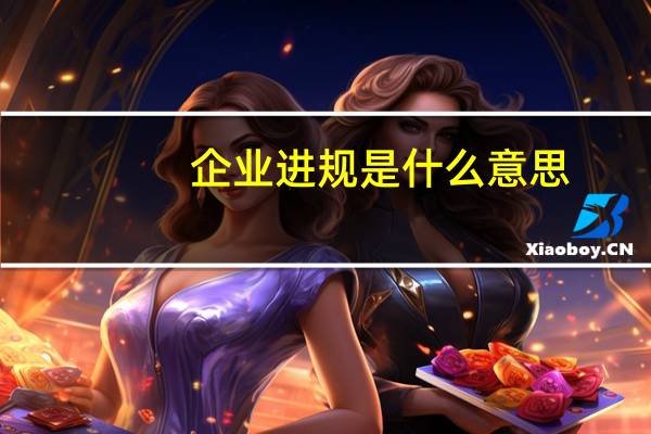 企业进规是什么意思