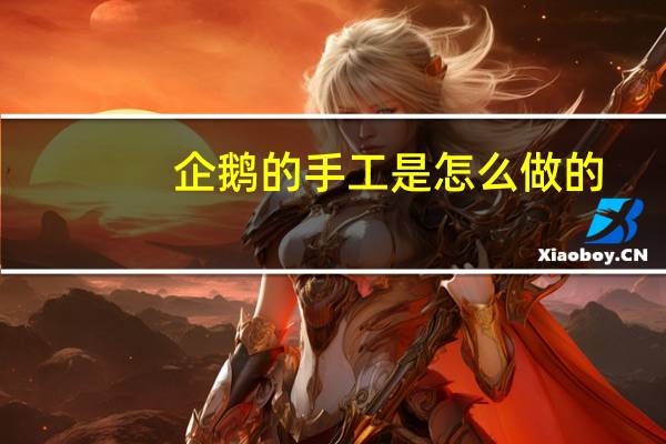 企鹅的手工是怎么做的