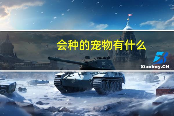 会种的宠物有什么