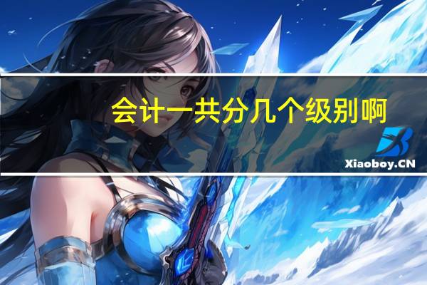 会计一共分几个级别啊
