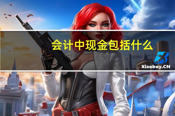 会计中现金包括什么