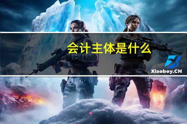 会计主体是什么