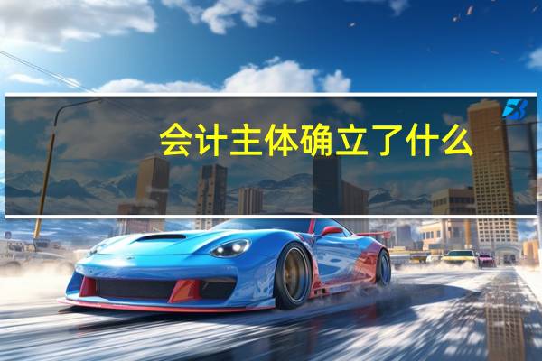 会计主体确立了什么
