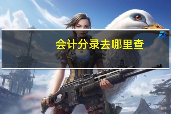 会计分录去哪里查