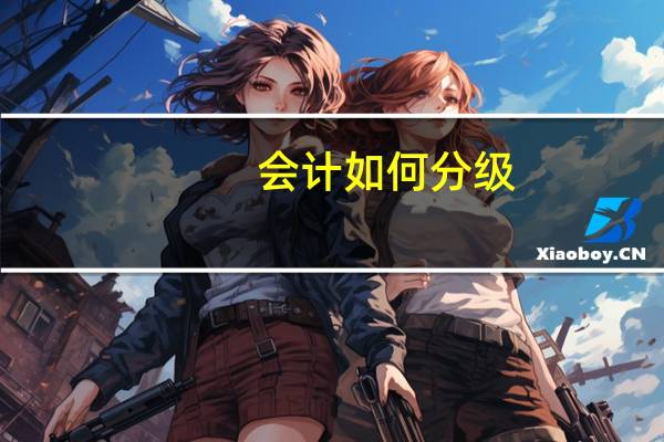 会计如何分级