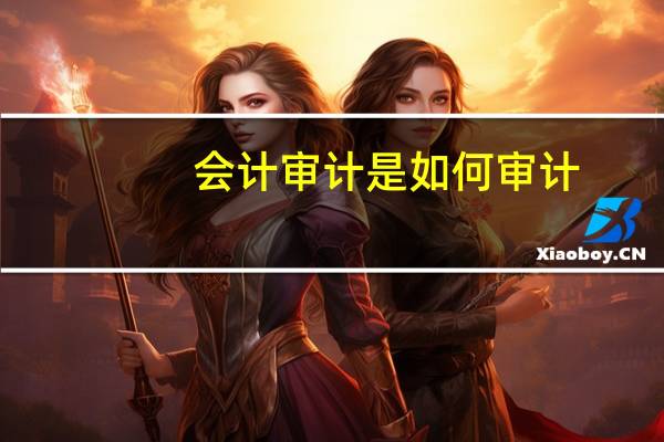 会计审计是如何审计