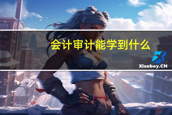 会计审计能学到什么