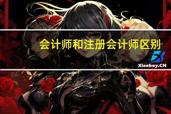会计师和注册会计师区别
