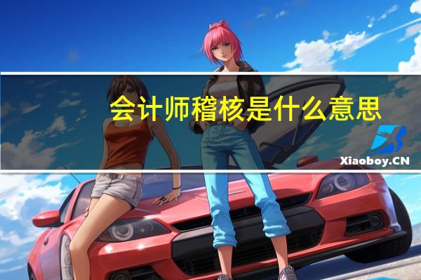 会计师稽核是什么意思