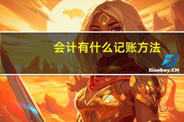 会计有什么记账方法