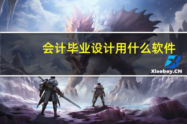 会计毕业设计用什么软件