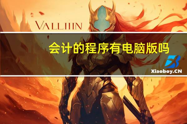 会计的程序有电脑版吗