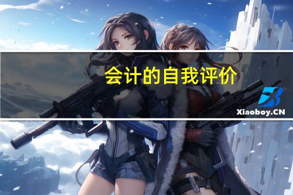 会计的自我评价