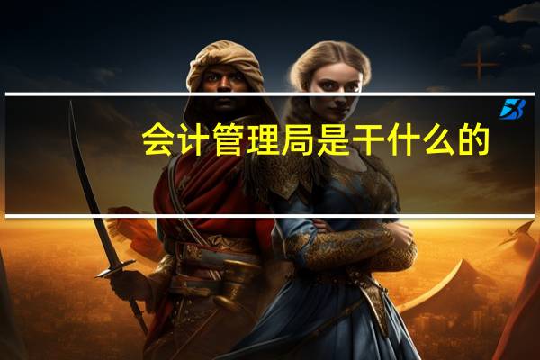 会计管理局是干什么的