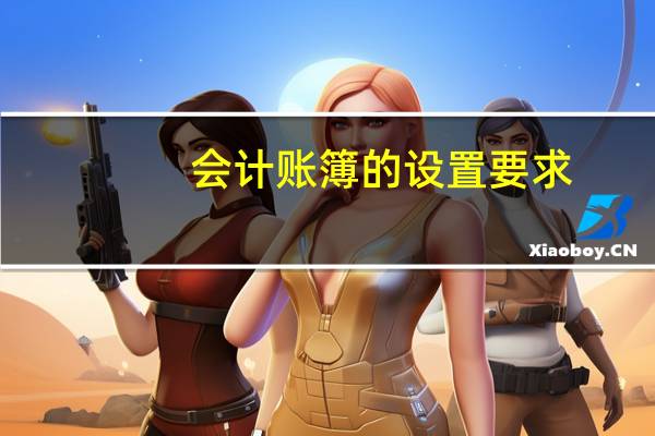 会计账簿的设置要求