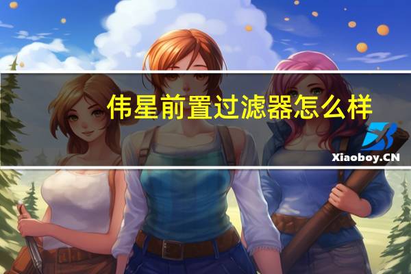伟星前置过滤器怎么样