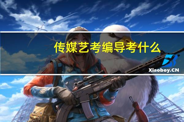 传媒艺考编导考什么