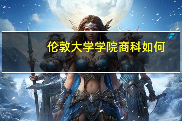 伦敦大学学院商科如何