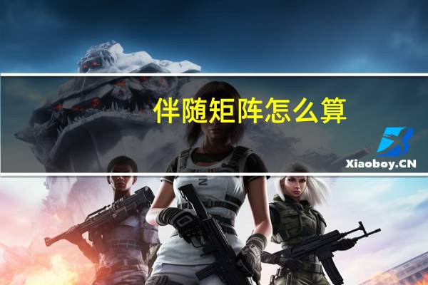伴随矩阵怎么算
