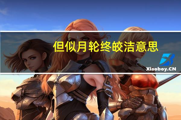 但似月轮终皎洁意思