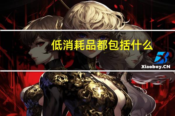 低消耗品都包括什么