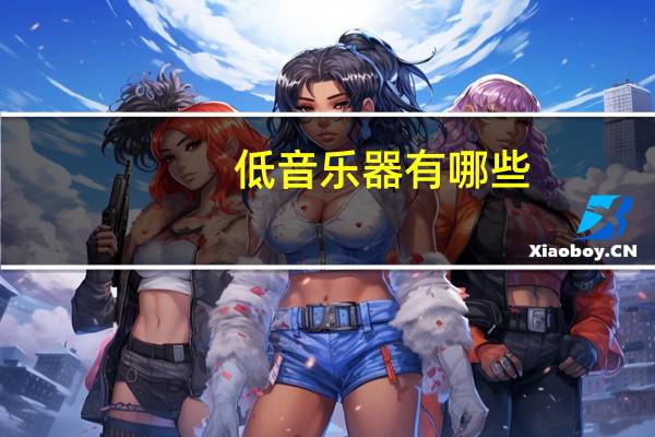 低音乐器有哪些