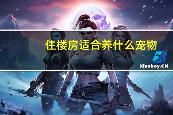住楼房适合养什么宠物