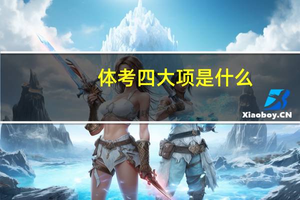 体考四大项是什么