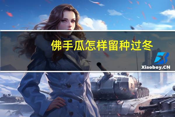 佛手瓜怎样留种过冬