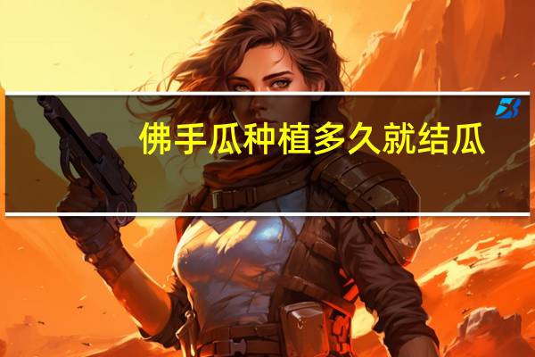 佛手瓜种植多久就结瓜