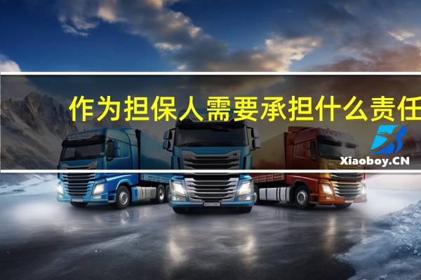作为担保人需要承担什么责任